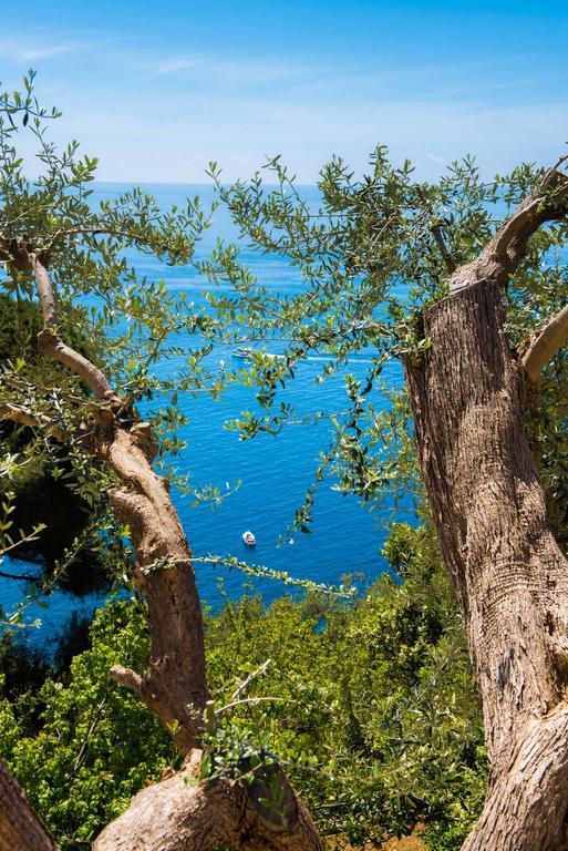Villa De Rosa Positano Buitenkant foto