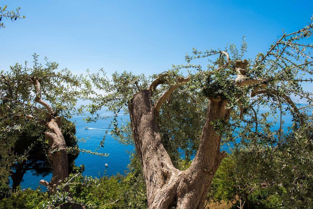 Villa De Rosa Positano Buitenkant foto
